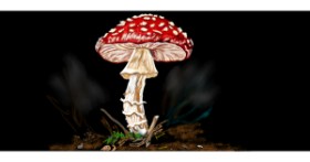 Gljiva - autor: Çhåching