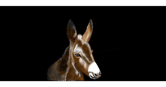 Drawing of Donkey by Chaching