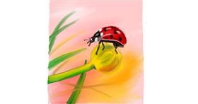 Drawing of Ladybug by Rush