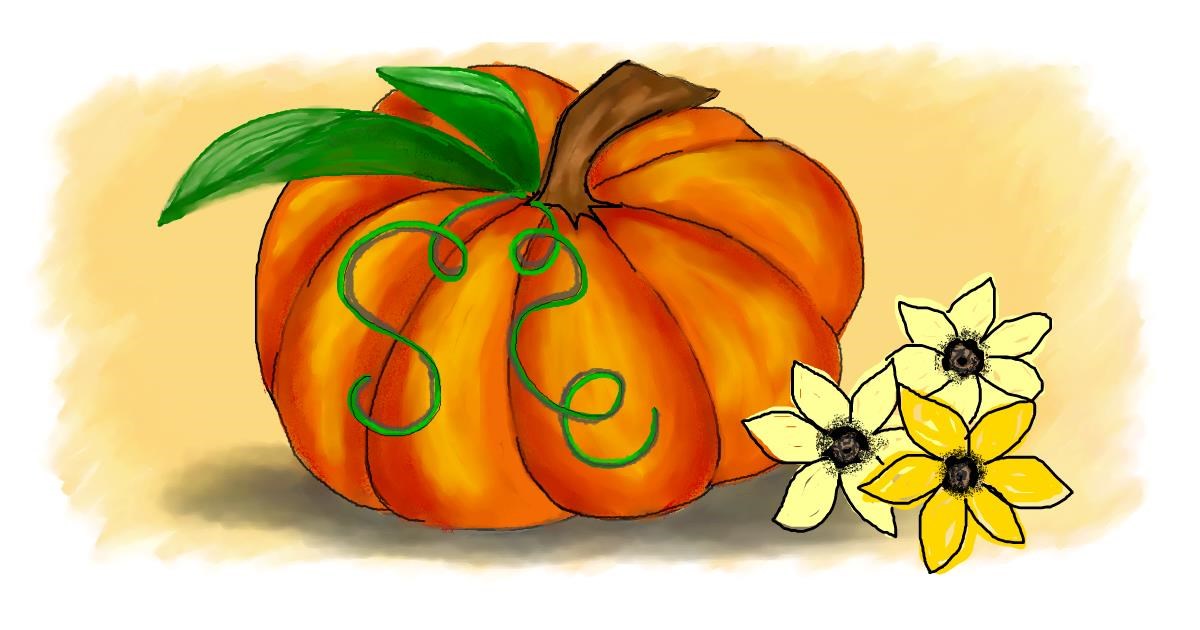 Drawing of Pumpkin by Debidolittle
