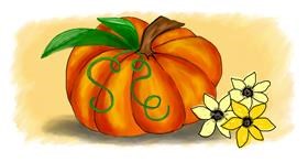 Drawing of Pumpkin by Debidolittle