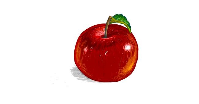 Drawing of Apple by Scott