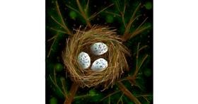 Drawing of Nest by Amanah🥰