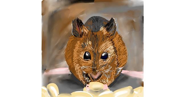 Drawing of Mouse by Rose rocket
