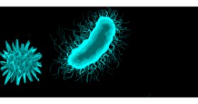 Drawing of Bacteria by •Brooklyn•