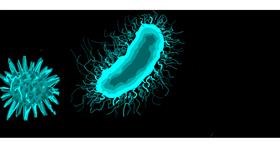 Drawing of Bacteria by •Brooklyn•