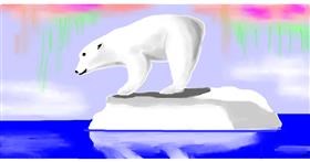 Polarni medvjed - autor: Swimmer 