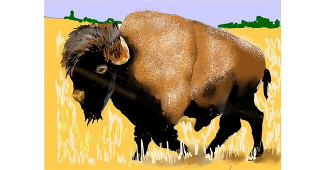 Drawing of Bison by SAM AKA MARGARET 🙄