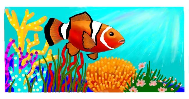 Drawing of Clownfish by DebbyLee