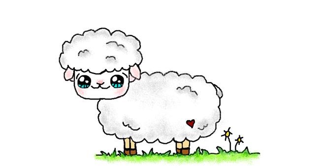 Drawing of Sheep by Tiny🍒
