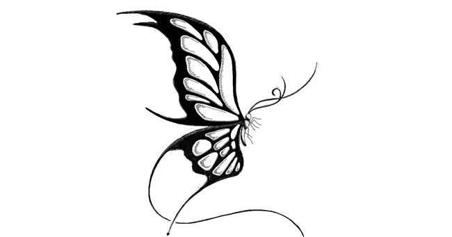 Drawing of Butterfly by lil slut