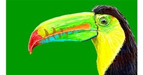 Drawing of Toucan by Sam