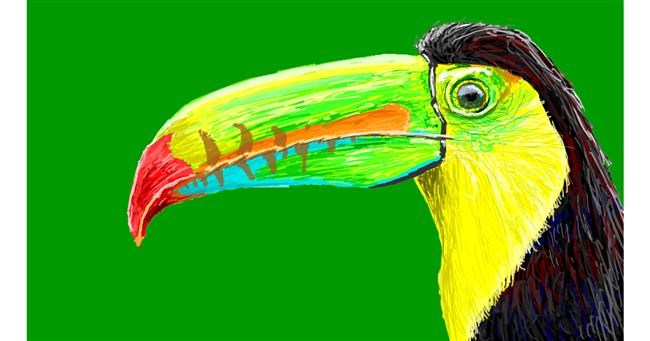 Drawing of Toucan by Sam