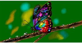 Leptir - autor: Eclat de Lune