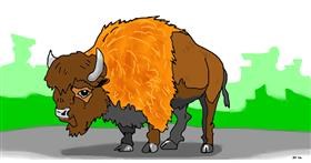Drawing of Bison by Swimmer 