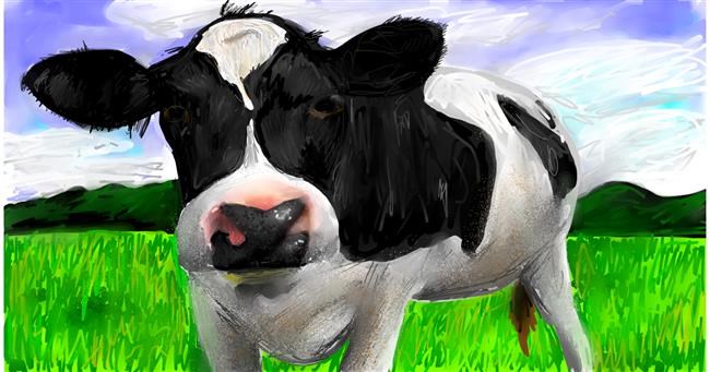 Drawing of Cow by Mia