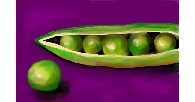 Drawing of Peas by Sirak Fish