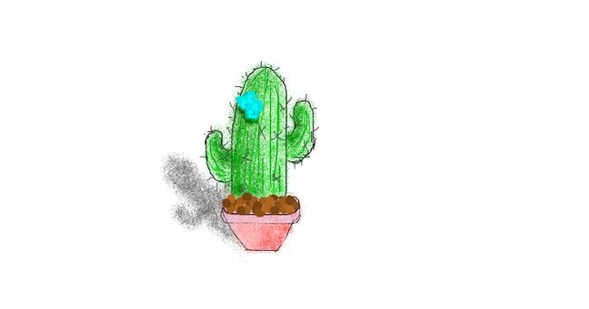 Drawing of Cactus by coconut