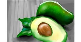 Drawing of Avocado by Rose rocket