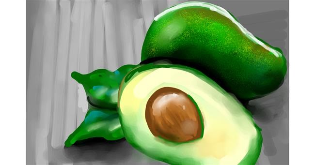 Drawing of Avocado by Rose rocket