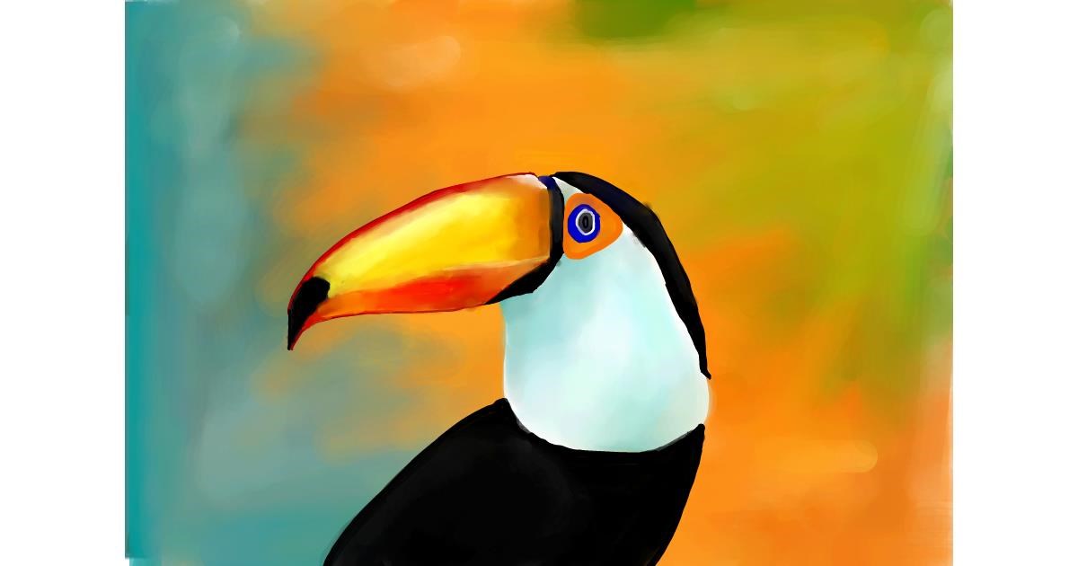 Drawing of Toucan by JustMe