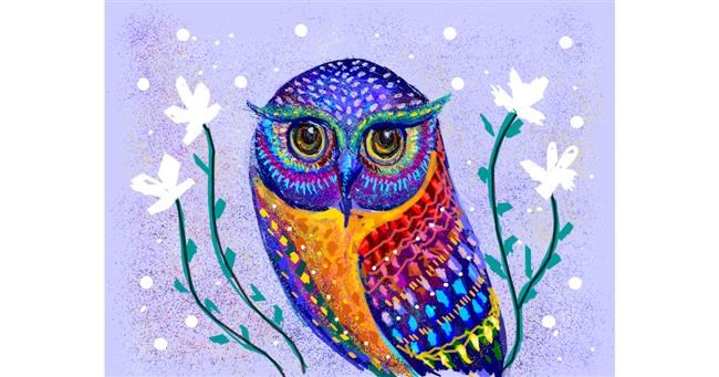Drawing of Owl by Tara