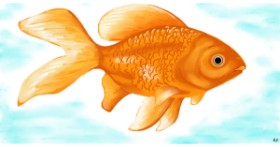Zlatna ribica - autor: Swimmer