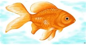 Drawing of Goldfish by Swimmer 