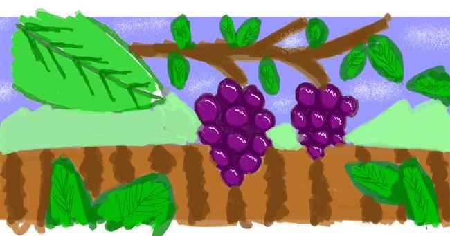 Drawing of Grapes by saRA