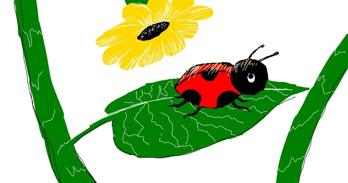 Drawing of Ladybug by Laynie.Wuz.Here