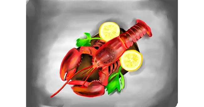 Drawing of Lobster by Rose rocket