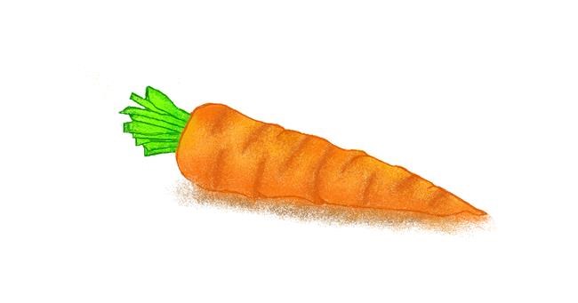 Drawing of Carrot by Tiny🍒