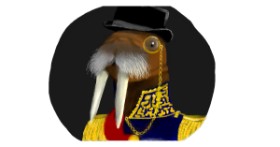 Drawing of Walrus by Sara