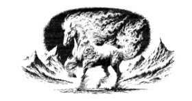 Konj - autor: Nay