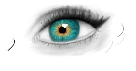 Drawing of Eyes by Sara