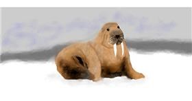 Drawing of Walrus by Gillian
