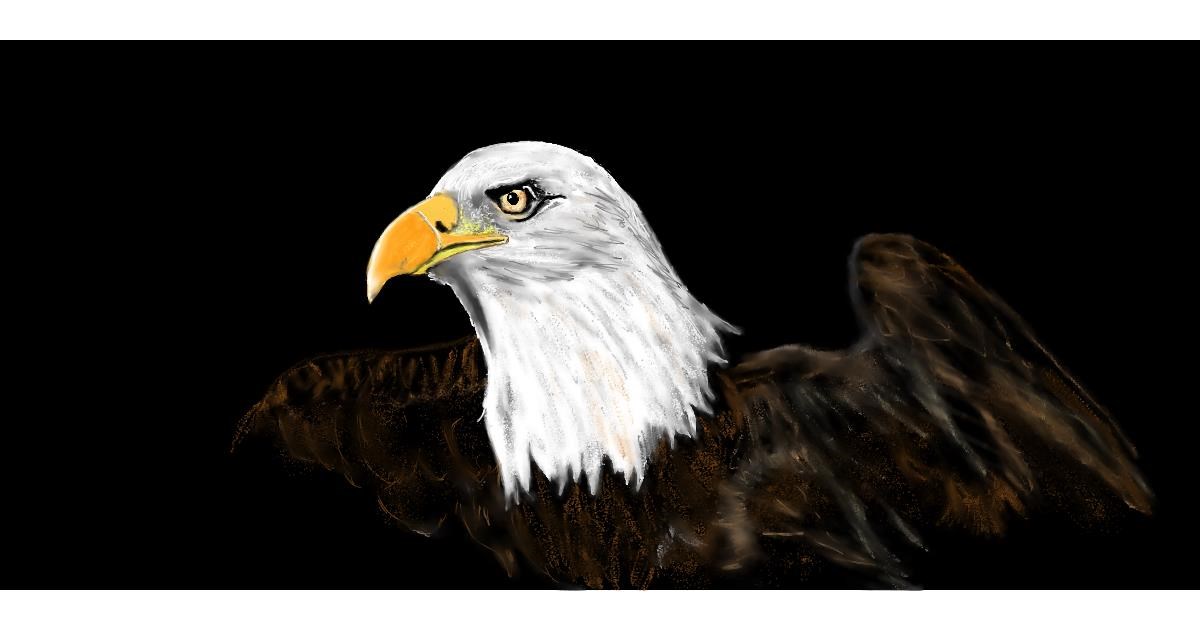 Full Size Drawing