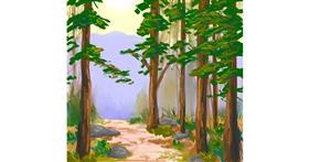 Drawing of Forest by Scott