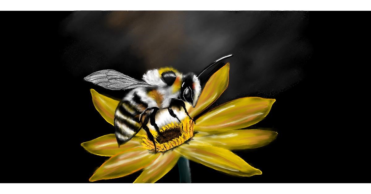 Full Size Drawing