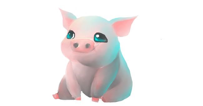 Drawing of Pig by Niny