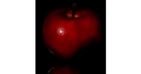 Drawing of Apple by Joze