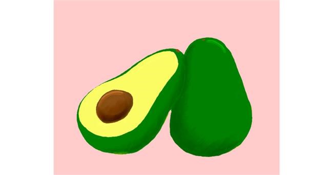 Drawing of Avocado by THC