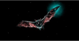 Drawing of Bat by Eclat de Lune
