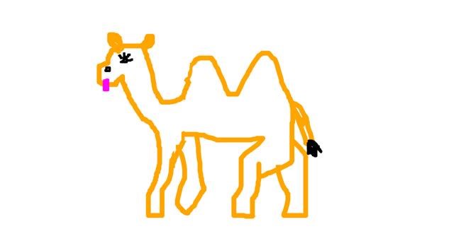 Drawing of Camel by Dusk