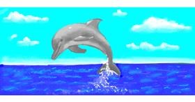 Drawing of Dolphin by shiNIN