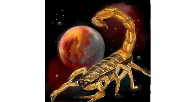 Drawing of Scorpion by ⋆su⋆vinci彡