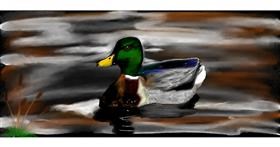 Drawing of Duck by Chaching