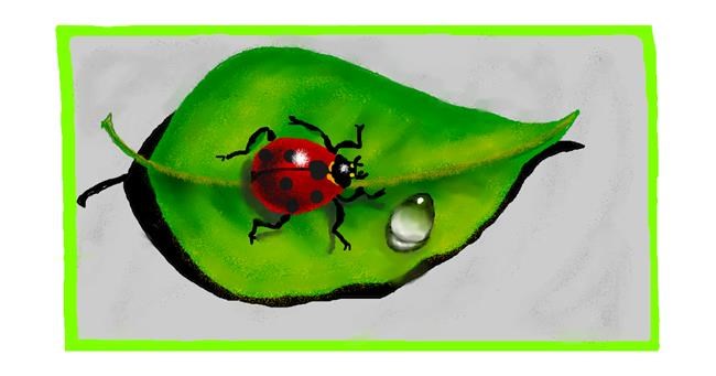 Drawing of Ladybug by Debidolittle
