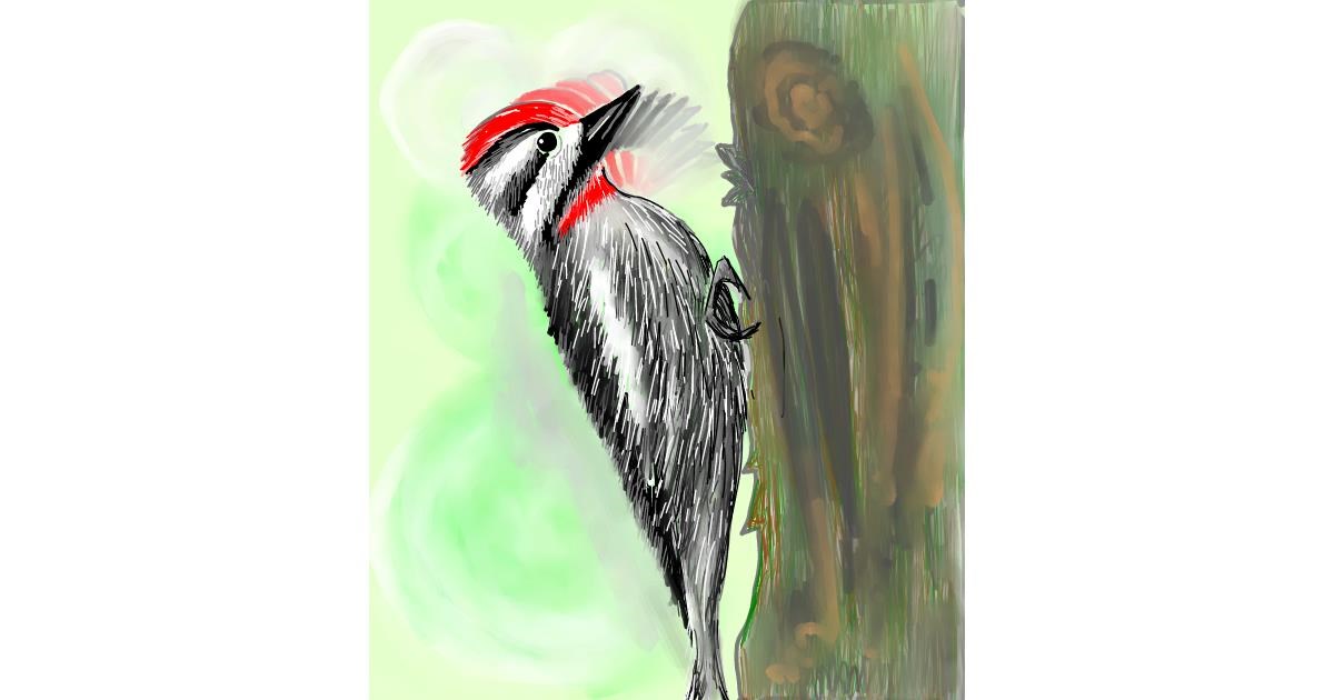 Drawing of Woodpecker by Vinci