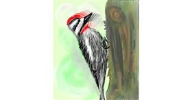 Drawing of Woodpecker by Vinci